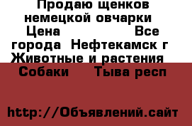 Продаю щенков немецкой овчарки › Цена ­ 5000-6000 - Все города, Нефтекамск г. Животные и растения » Собаки   . Тыва респ.